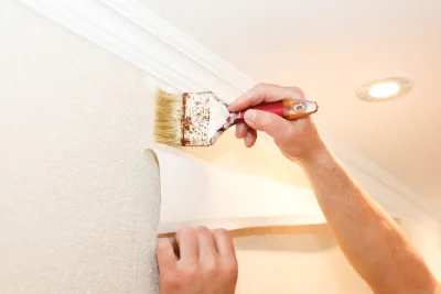 Pose de papier peint à Aniane — revêtements muraux et toiles de verre